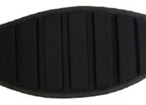BioTechUSA Accessories Belt with Velcro Closure Austin 5, Black - Small